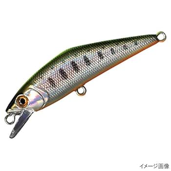 スミス Dコンタクト50 10個セット Smith Amazon | スミス Dコンタクト 50 展示会限定カラー／トラウト